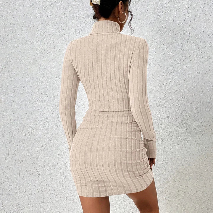 Ribbed Turtleneck Dress